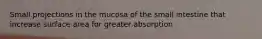 Small projections in the mucosa of the small intestine that increase surface area for greater absorption