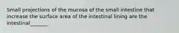 Small projections of the mucosa of the small intestine that increase the surface area of the intestinal lining are the intestinal_______