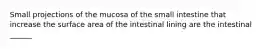 Small projections of the mucosa of the small intestine that increase the surface area of the intestinal lining are the intestinal ______