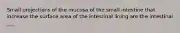 Small projections of the mucosa of the small intestine that increase the surface area of the intestinal lining are the intestinal ___