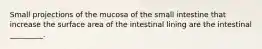 Small projections of the mucosa of the small intestine that increase the surface area of the intestinal lining are the intestinal _________.