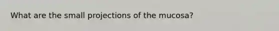 What are the small projections of the mucosa?