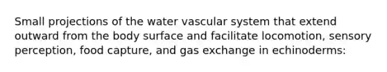 Small projections of the water vascular system that extend outward from the body surface and facilitate locomotion, sensory perception, food capture, and gas exchange in echinoderms: