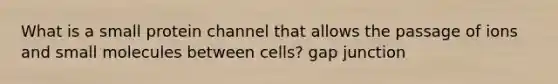 What is a small protein channel that allows the passage of ions and small molecules between cells? gap junction