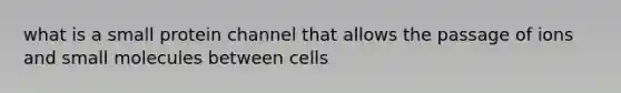 what is a small protein channel that allows the passage of ions and small molecules between cells