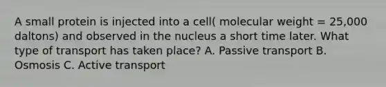 A small protein is injected into a cell( molecular weight = 25,000 daltons) and observed in the nucleus a short time later. What type of transport has taken place? A. Passive transport B. Osmosis C. Active transport