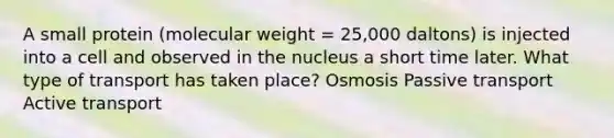 A small protein (molecular weight = 25,000 daltons) is injected into a cell and observed in the nucleus a short time later. What type of transport has taken place? Osmosis Passive transport Active transport