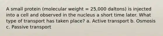 A small protein (molecular weight = 25,000 daltons) is injected into a cell and observed in the nucleus a short time later. What type of transport has taken place? a. Active transport b. Osmosis c. Passive transport