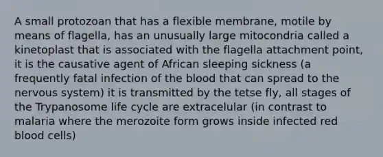 A small protozoan that has a flexible membrane, motile by means of flagella, has an unusually large mitocondria called a kinetoplast that is associated with the flagella attachment point, it is the causative agent of African sleeping sickness (a frequently fatal infection of the blood that can spread to the nervous system) it is transmitted by the tetse fly, all stages of the Trypanosome life cycle are extracelular (in contrast to malaria where the merozoite form grows inside infected red blood cells)