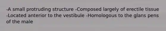 -A small protruding structure -Composed largely of erectile tissue -Located anterior to the vestibule -Homologous to the glans pens of the male