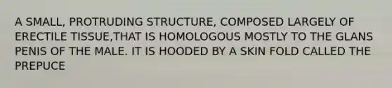 A SMALL, PROTRUDING STRUCTURE, COMPOSED LARGELY OF ERECTILE TISSUE,THAT IS HOMOLOGOUS MOSTLY TO THE GLANS PENIS OF THE MALE. IT IS HOODED BY A SKIN FOLD CALLED THE PREPUCE