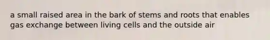 a small raised area in the bark of stems and roots that enables gas exchange between living cells and the outside air