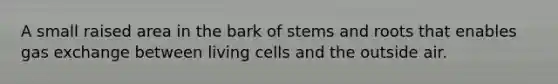 A small raised area in the bark of stems and roots that enables gas exchange between living cells and the outside air.