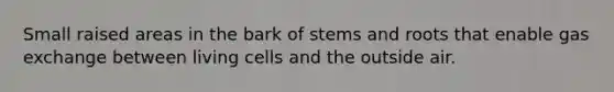 Small raised areas in the bark of stems and roots that enable gas exchange between living cells and the outside air.