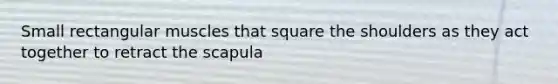 Small rectangular muscles that square the shoulders as they act together to retract the scapula