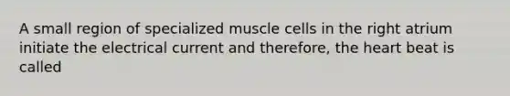 A small region of specialized muscle cells in the right atrium initiate the electrical current and therefore, the heart beat is called