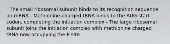 - The small ribosomal subunit binds to its recognition sequence on mRNA - Methionine-charged tRNA binds to the AUG start codon, completing the initiation complex - The large ribosomal subunit joins the initiation complex with methionine charged tRNA now occupying the P site