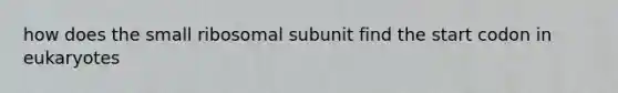 how does the small ribosomal subunit find the start codon in eukaryotes