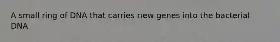 A small ring of DNA that carries new genes into the bacterial DNA