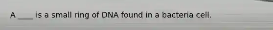 A ____ is a small ring of DNA found in a bacteria cell.
