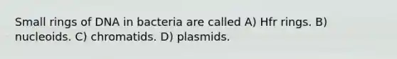 Small rings of DNA in bacteria are called A) Hfr rings. B) nucleoids. C) chromatids. D) plasmids.