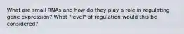 What are small RNAs and how do they play a role in regulating gene expression? What "level" of regulation would this be considered?