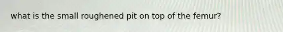 what is the small roughened pit on top of the femur?