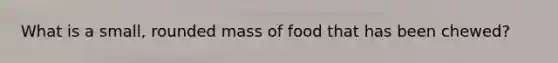 What is a small, rounded mass of food that has been chewed?