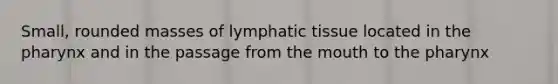 Small, rounded masses of lymphatic tissue located in <a href='https://www.questionai.com/knowledge/ktW97n6hGJ-the-pharynx' class='anchor-knowledge'>the pharynx</a> and in the passage from <a href='https://www.questionai.com/knowledge/krBoWYDU6j-the-mouth' class='anchor-knowledge'>the mouth</a> to the pharynx