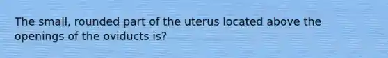 The small, rounded part of the uterus located above the openings of the oviducts is?