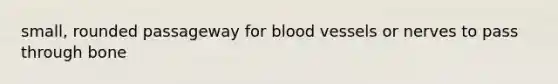 small, rounded passageway for <a href='https://www.questionai.com/knowledge/kZJ3mNKN7P-blood-vessels' class='anchor-knowledge'>blood vessels</a> or nerves to pass through bone