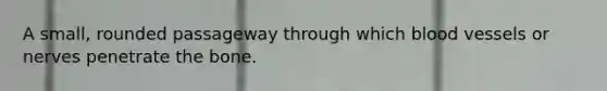 A small, rounded passageway through which <a href='https://www.questionai.com/knowledge/kZJ3mNKN7P-blood-vessels' class='anchor-knowledge'>blood vessels</a> or nerves penetrate the bone.