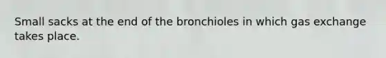 Small sacks at the end of the bronchioles in which gas exchange takes place.