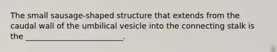 The small sausage-shaped structure that extends from the caudal wall of the umbilical vesicle into the connecting stalk is the _________________________.