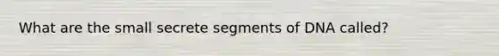 What are the small secrete segments of DNA called?