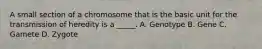 A small section of a chromosome that is the basic unit for the transmission of heredity is a _____. A. Genotype B. Gene C. Gamete D. Zygote