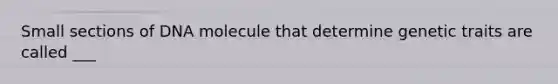 Small sections of DNA molecule that determine genetic traits are called ___