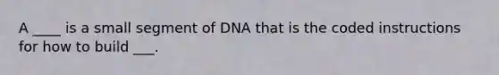 A ____ is a small segment of DNA that is the coded instructions for how to build ___.