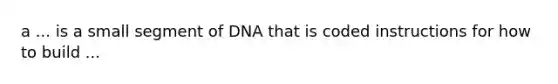 a ... is a small segment of DNA that is coded instructions for how to build ...