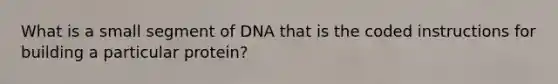 What is a small segment of DNA that is the coded instructions for building a particular protein?