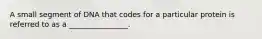 A small segment of DNA that codes for a particular protein is referred to as a ________________.