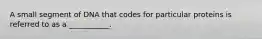 A small segment of DNA that codes for particular proteins is referred to as a ___________.