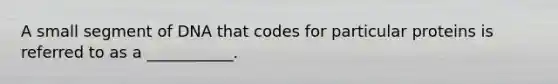 A small segment of DNA that codes for particular proteins is referred to as a ___________.