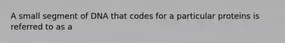 A small segment of DNA that codes for a particular proteins is referred to as a