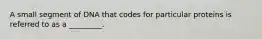 A small segment of DNA that codes for particular proteins is referred to as a _________.