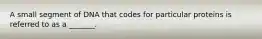 A small segment of DNA that codes for particular proteins is referred to as a _______.