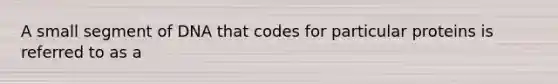 A small segment of DNA that codes for particular proteins is referred to as a