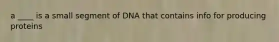 a ____ is a small segment of DNA that contains info for producing proteins