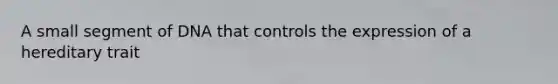 A small segment of DNA that controls the expression of a hereditary trait