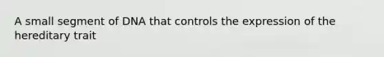 A small segment of DNA that controls the expression of the hereditary trait
